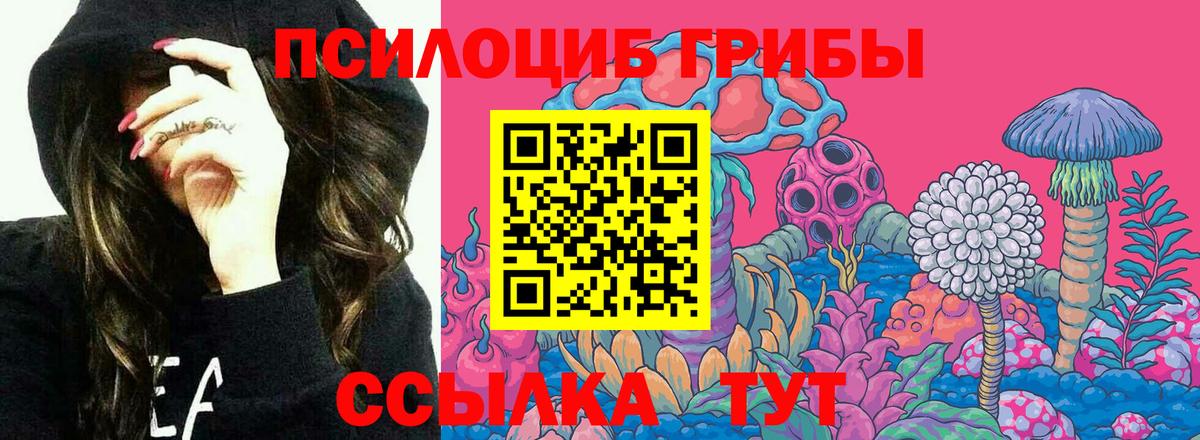 Галлюциногенные грибы Cubensis  Вход с VPN  наркошоп  Королёв 